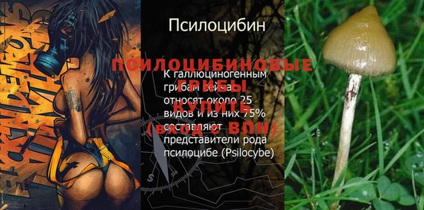 кокаин колумбия Алзамай